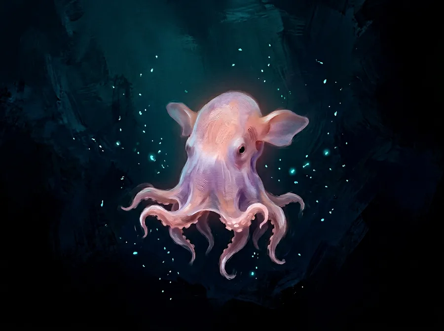 Dumbo octopus
